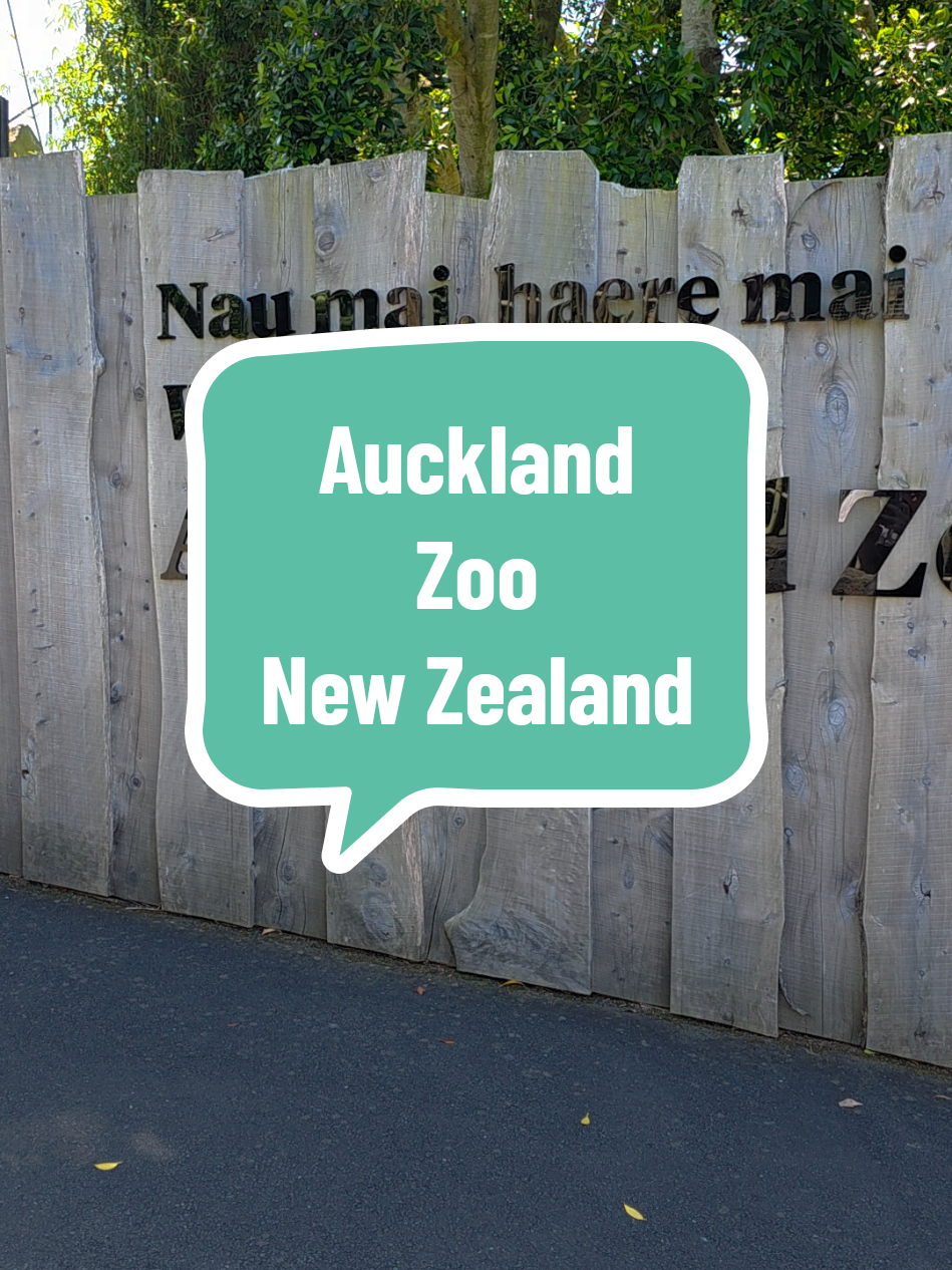 Auckland Zoo's Diverse Wildlife Attractions For Kids