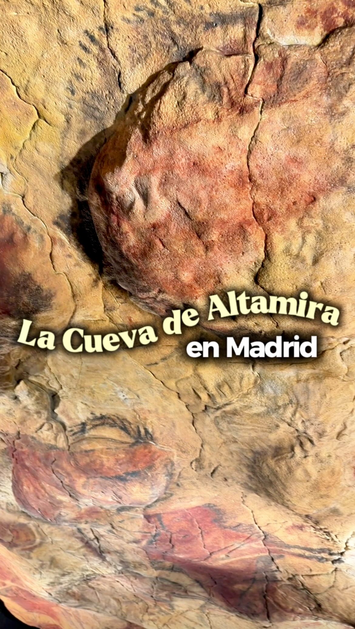 Madrid's Free Altamira Cave Replica