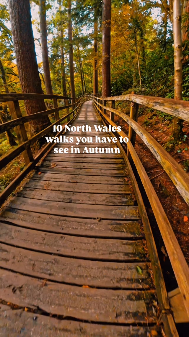 North Wales Waterfalls and Nature Trails For Families