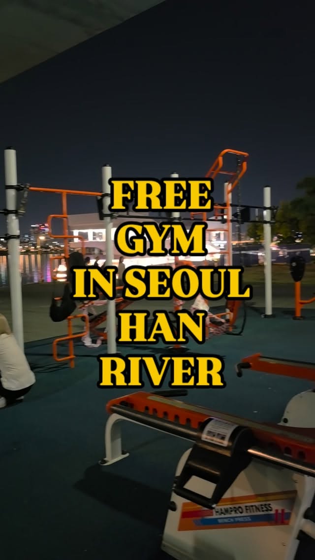 Seoul's Free Outdoor Gyms By The Han River
