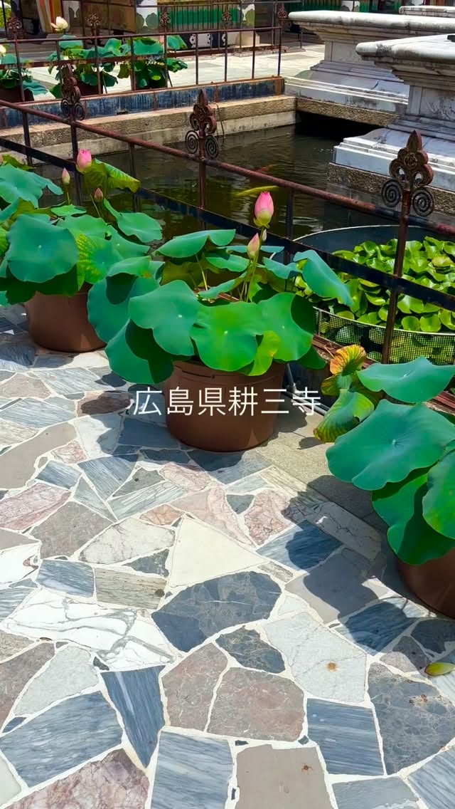 Kousanji Temple's Spiritual Significance