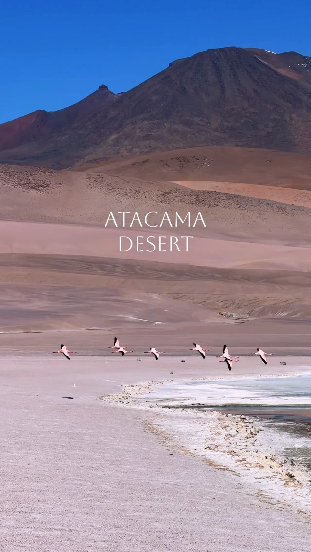 Surreal Bolivian & Chilean Altiplano Adventure
