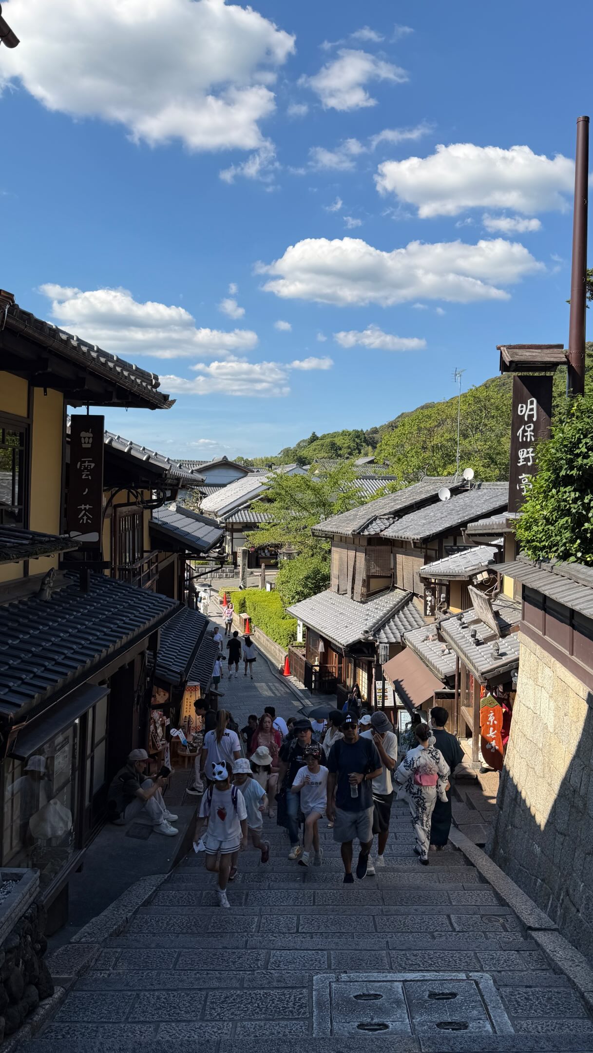 Kyoto's Best Shopping, Dining, and Shrines