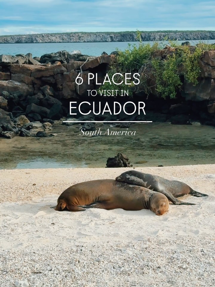 Ecuador's Diverse Destinations: Cities, Nature, and Wildlife