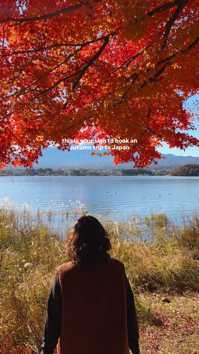 Japan in Autumn: Fall Foliage and Scenic Views