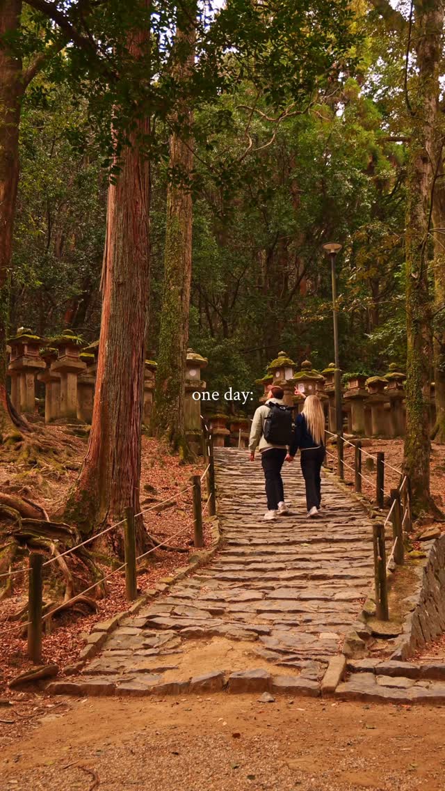 Iconic Japanese Landmarks and Scenic Views