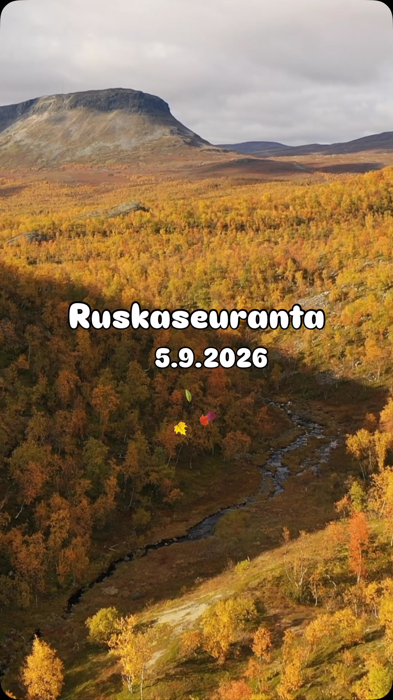 Finnish Lapland's Autumn Foliage Destinations