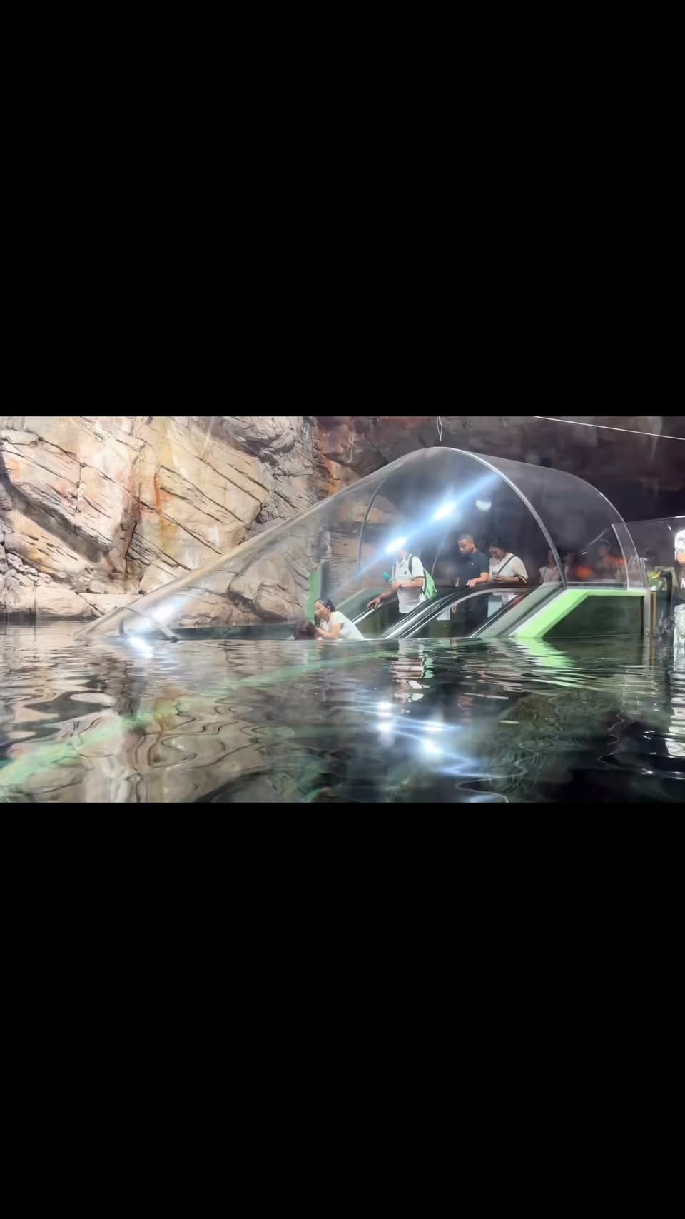 Shanghai Ocean Aquarium Showcases Marine Life