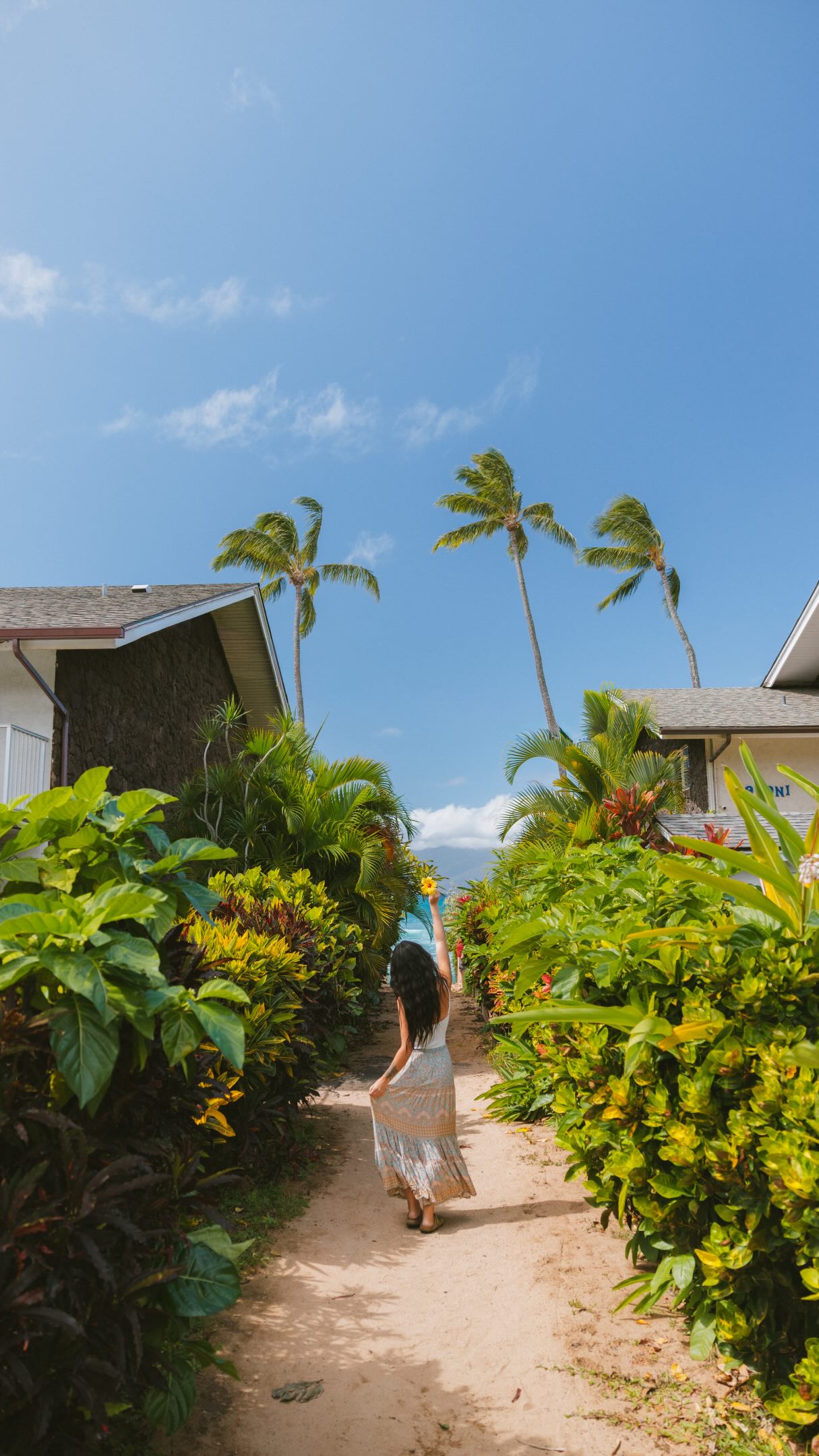 Hawaii's Iconic Beaches and Landmarks