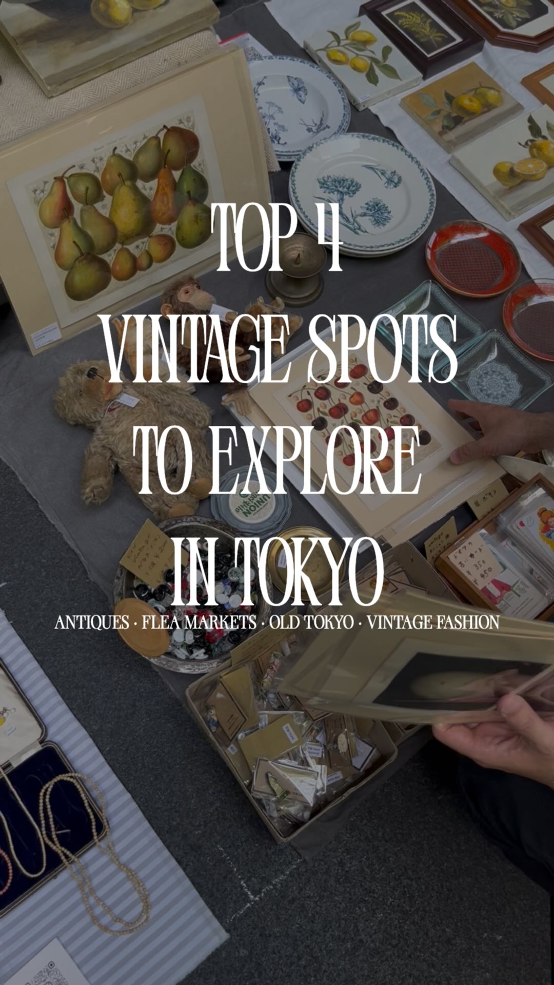 Tokyo Neighborhoods And Attractions