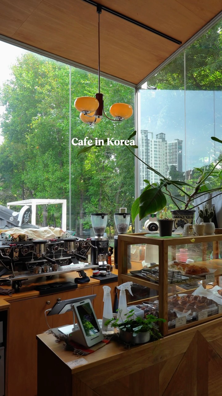 Gwangju Cafe Offers Lush Green Views