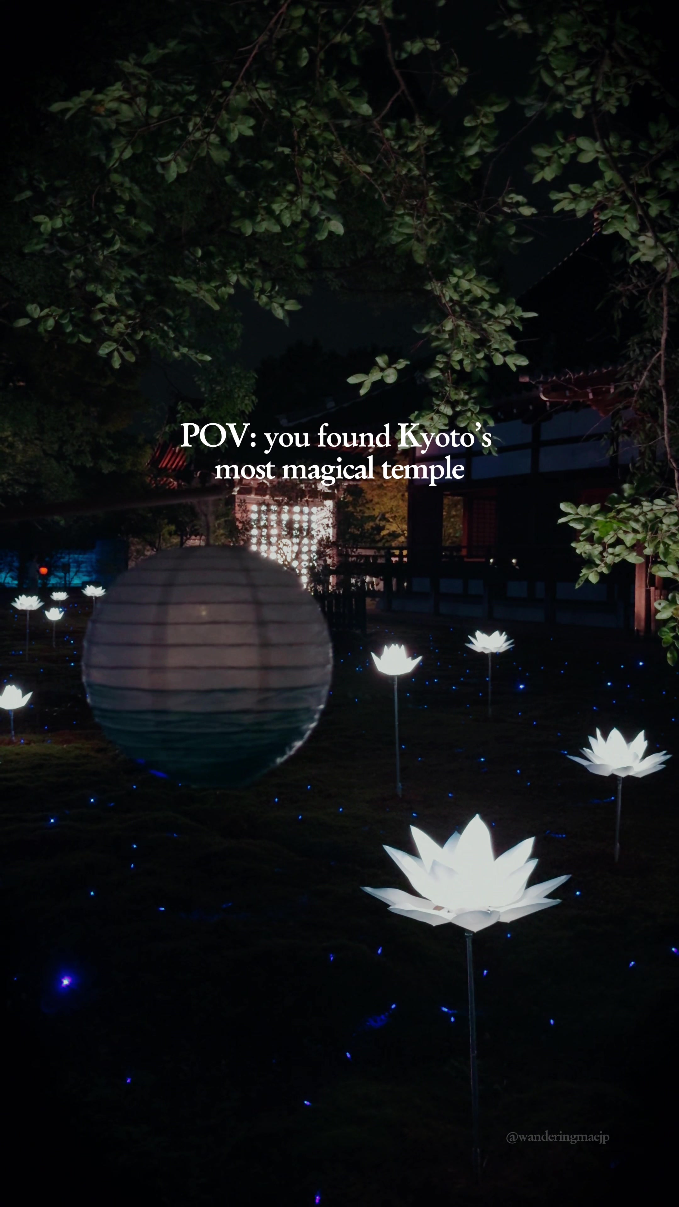 Shoren-in Temple Kyoto's Magical Night Illumination