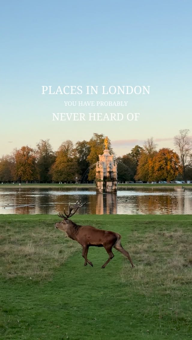 Seven London Spots: Palaces, Parks, and Museums