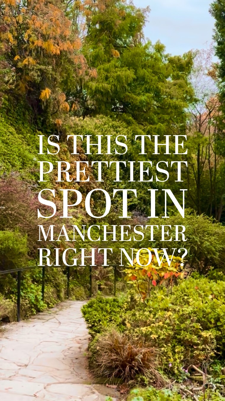 Manchester's Fletcher Moss Park Autumn Beauty
