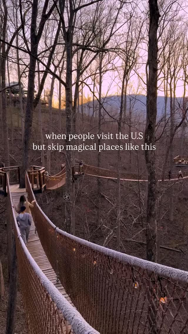 Anakeesta Treetop Skywalk A North American Gem