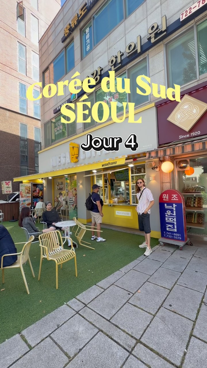 Seoul's Cultural Sights and Cafe Hopping Adventures