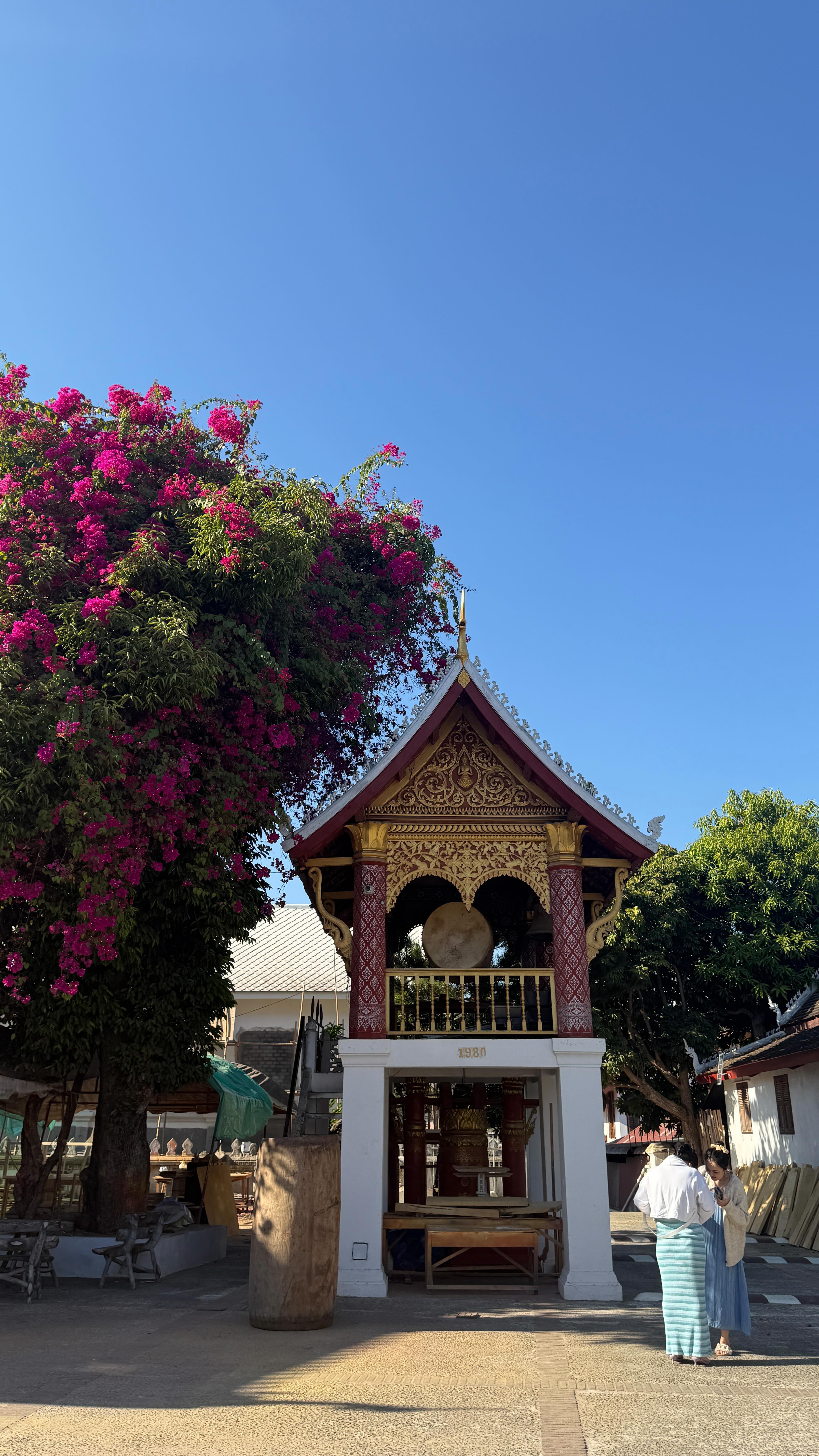 Explore Luang Prabang's Waterfalls and Elephant Sanctuaries
