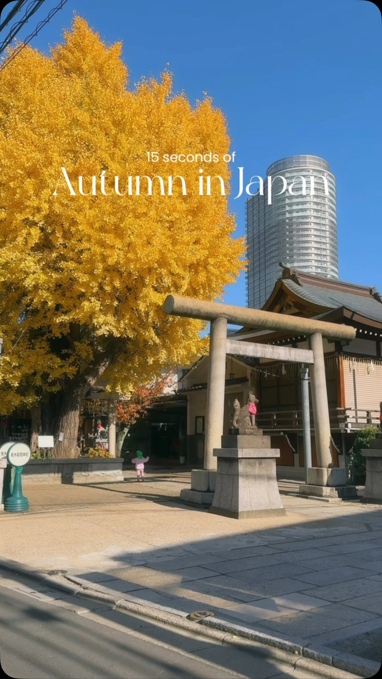 Tokyo and Kawaguchiko Autumn Scenery
