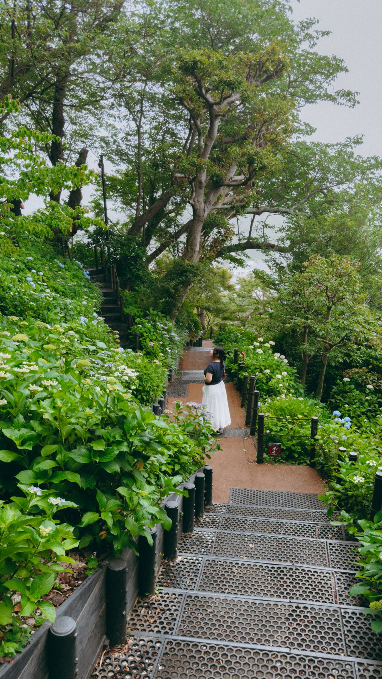 Kamakura's Hasedera Temple And Forest Cafe