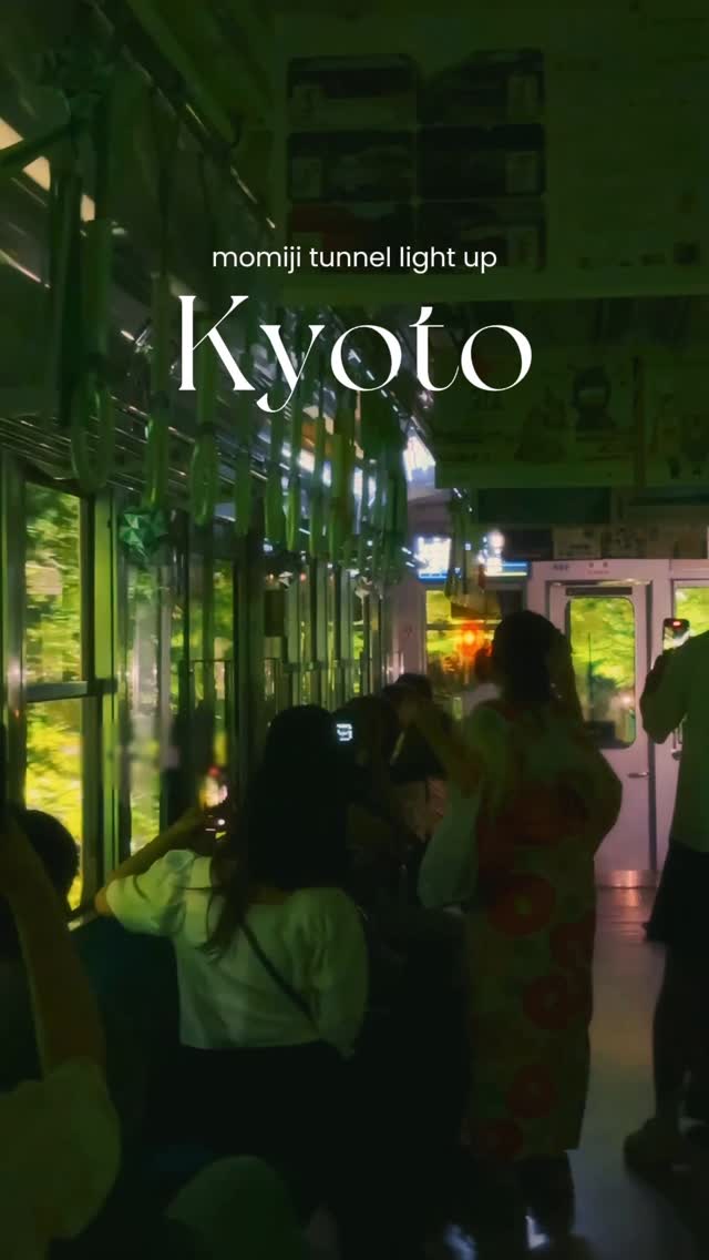 Eizan Railway's Evening Momiji Spectacle