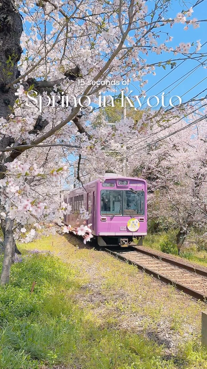 Kyoto's Scenic Walks and Streets