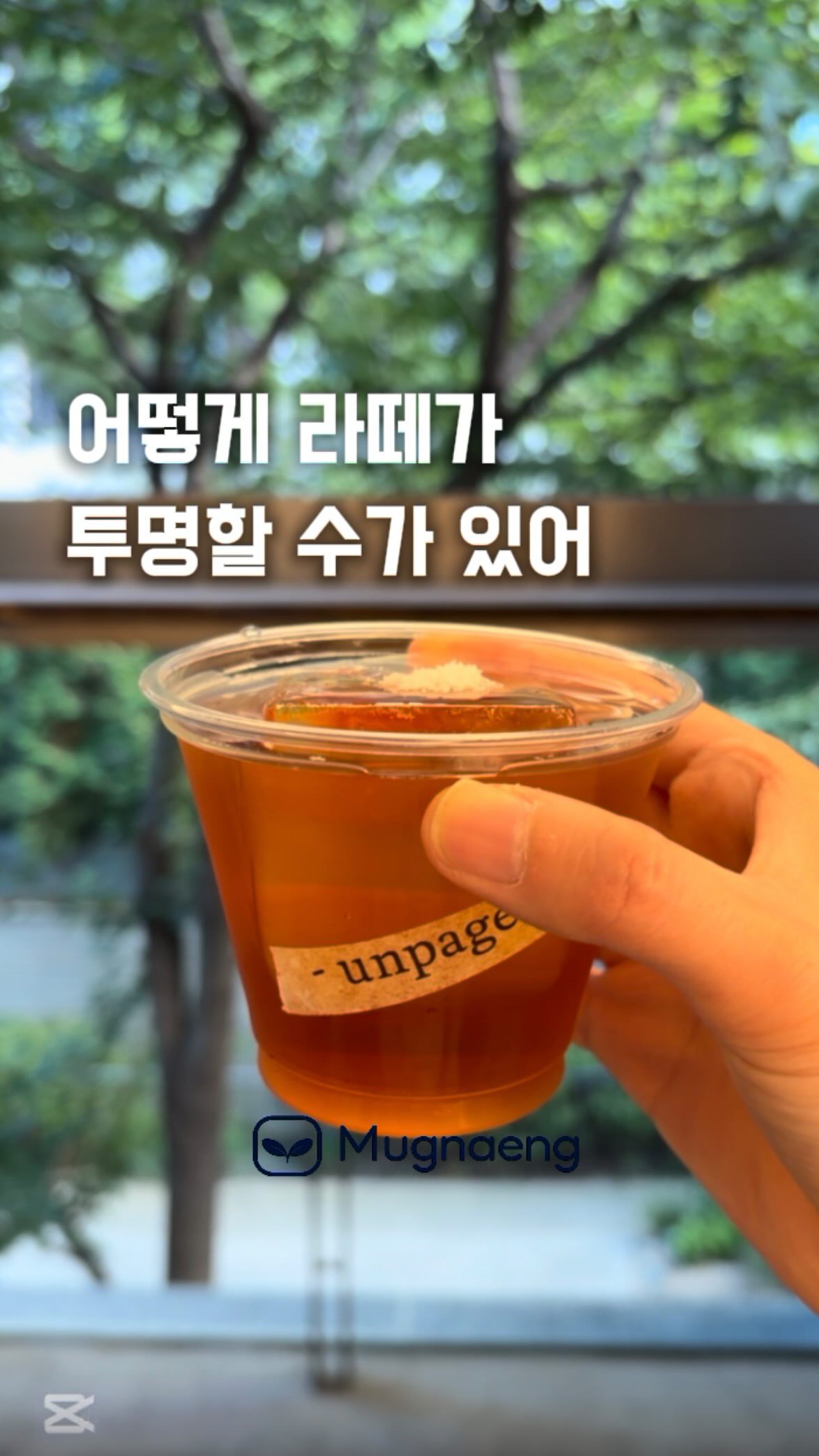 Transparent Lattes And Unique Cafe Atmosphere