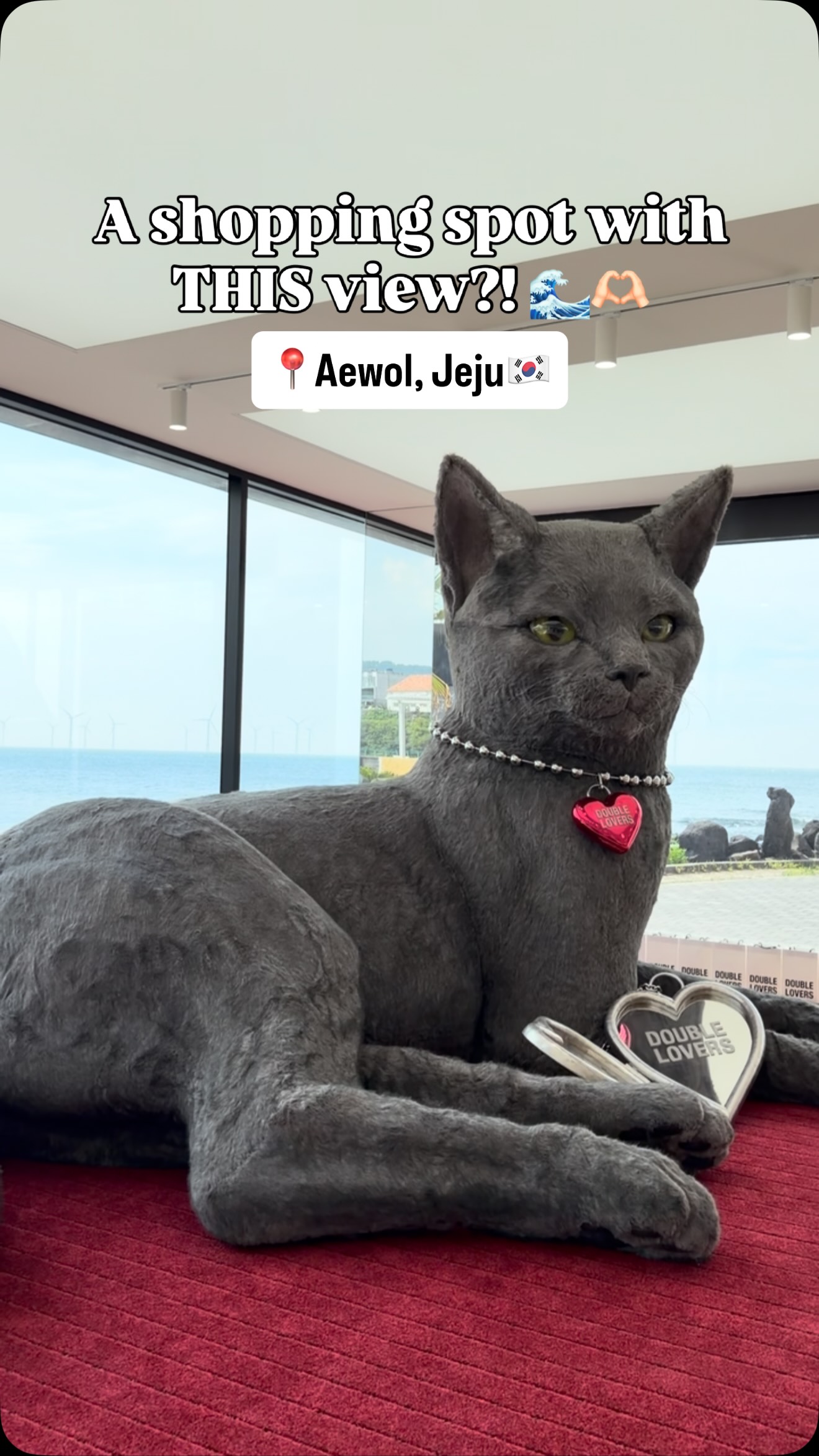 Jeju Ocean View Shops In Aewol