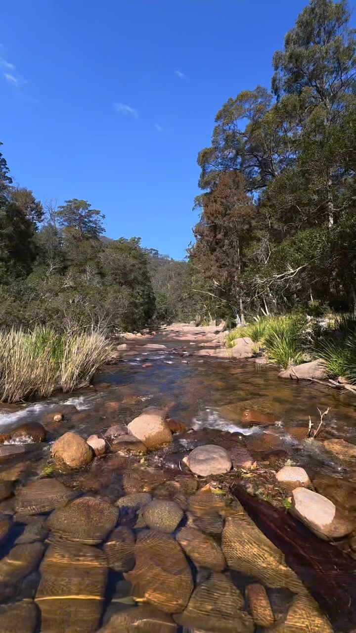 Mount Boss State Forest: Wild Swimming and Adventure