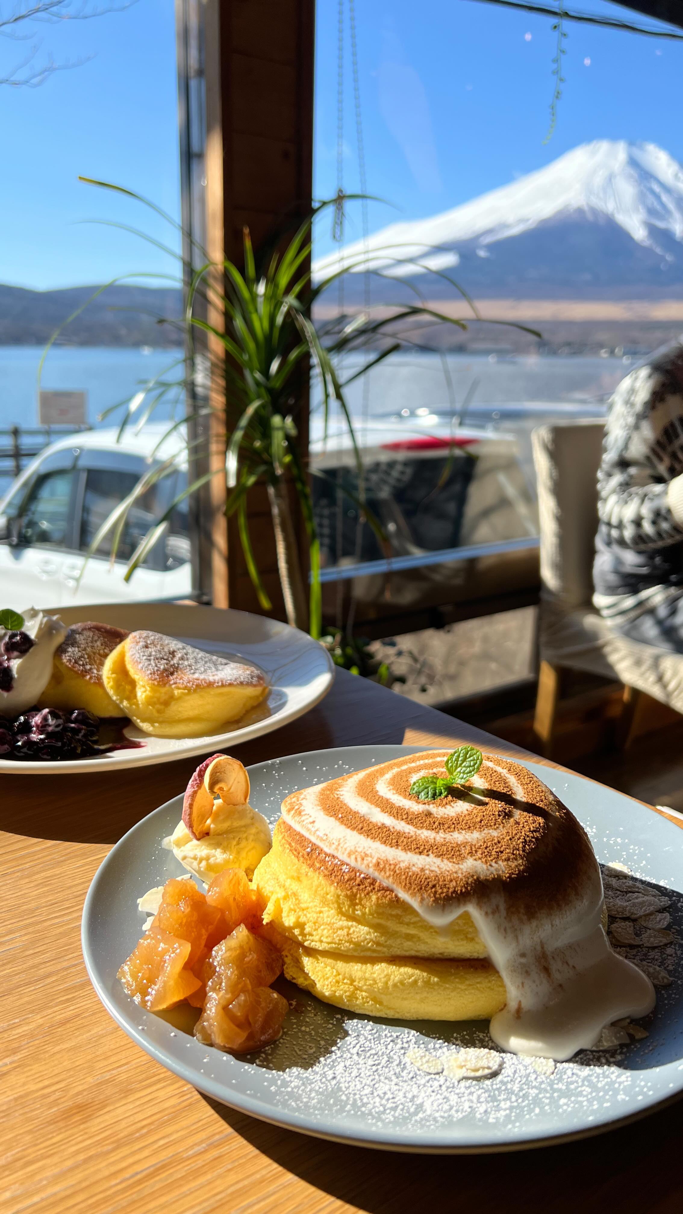 Mount Fuji Food Spots and Scenic Views