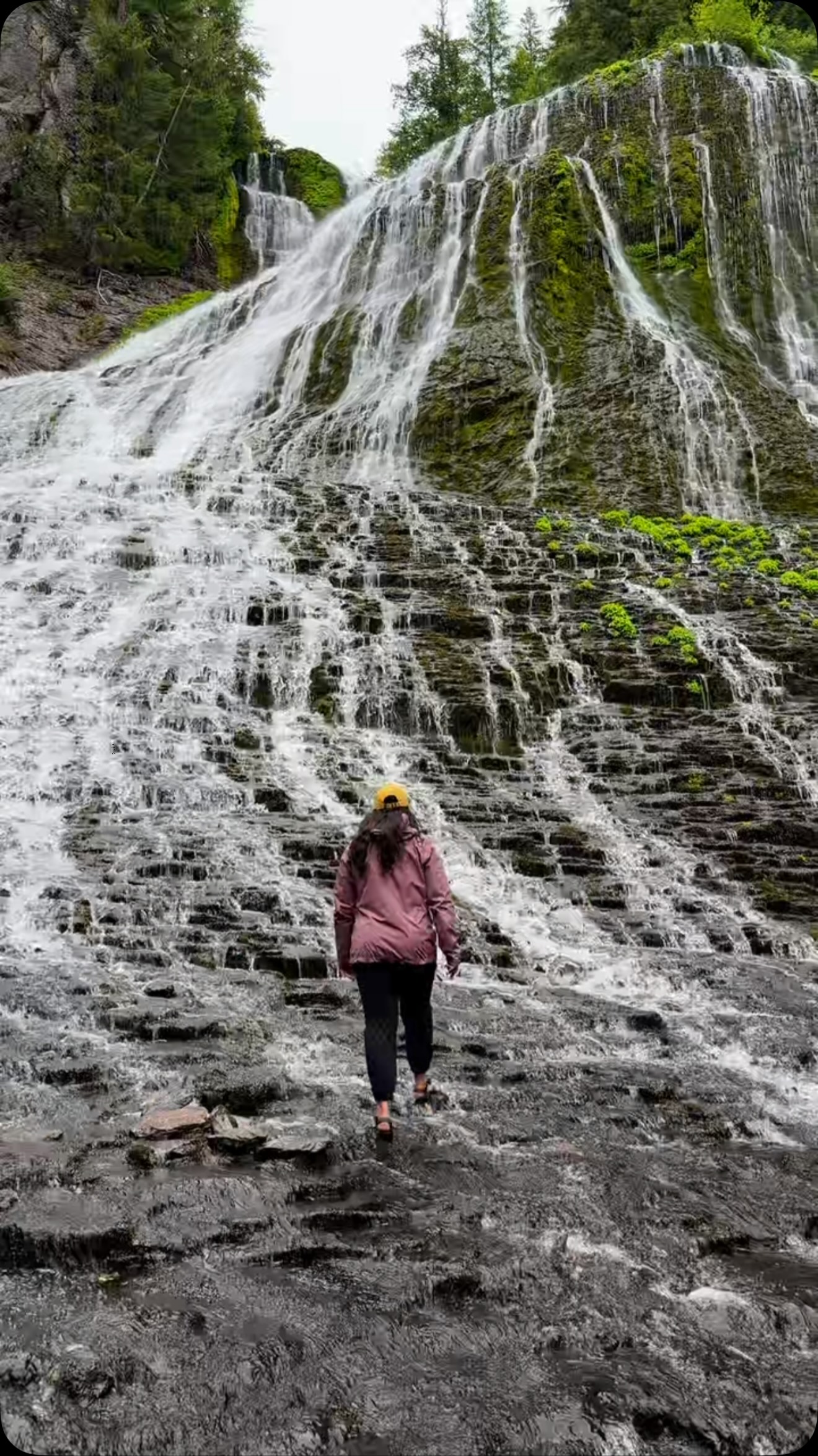 Walupt Creek Falls In Gifford Pinchot Forest