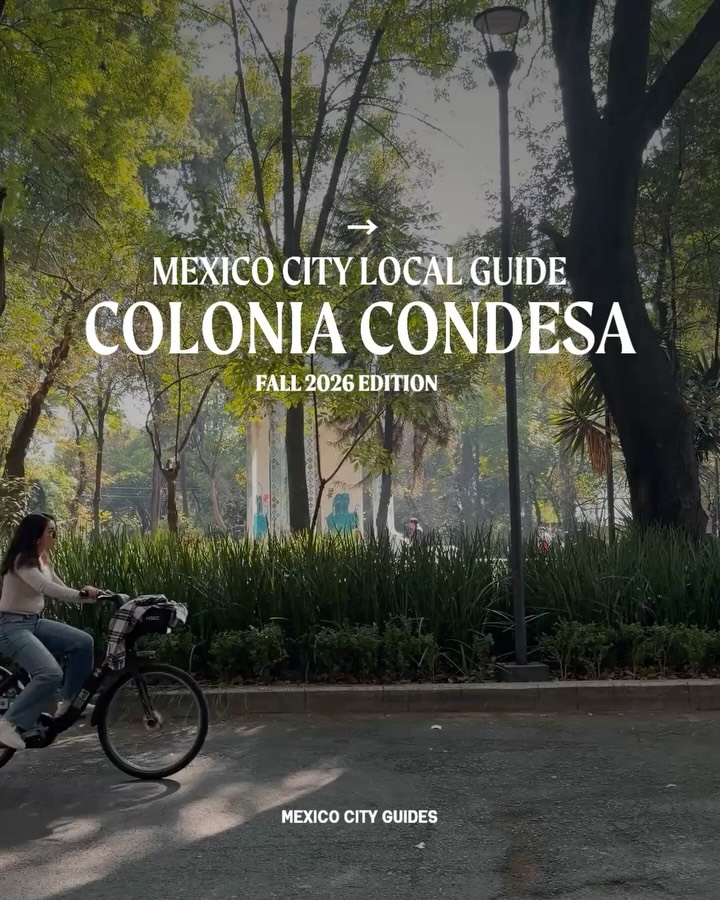 Condesa Neighborhood Gems: A Local's Guide