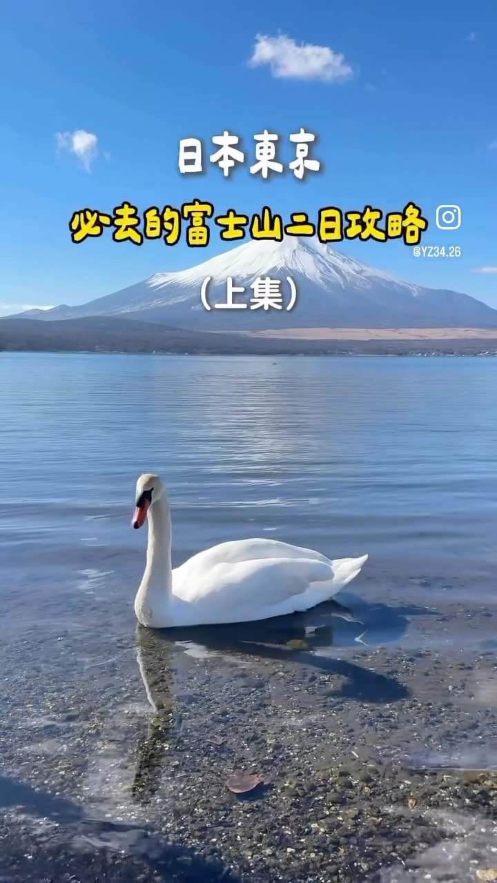 Mount Fuji Views And Shopping Excursion
