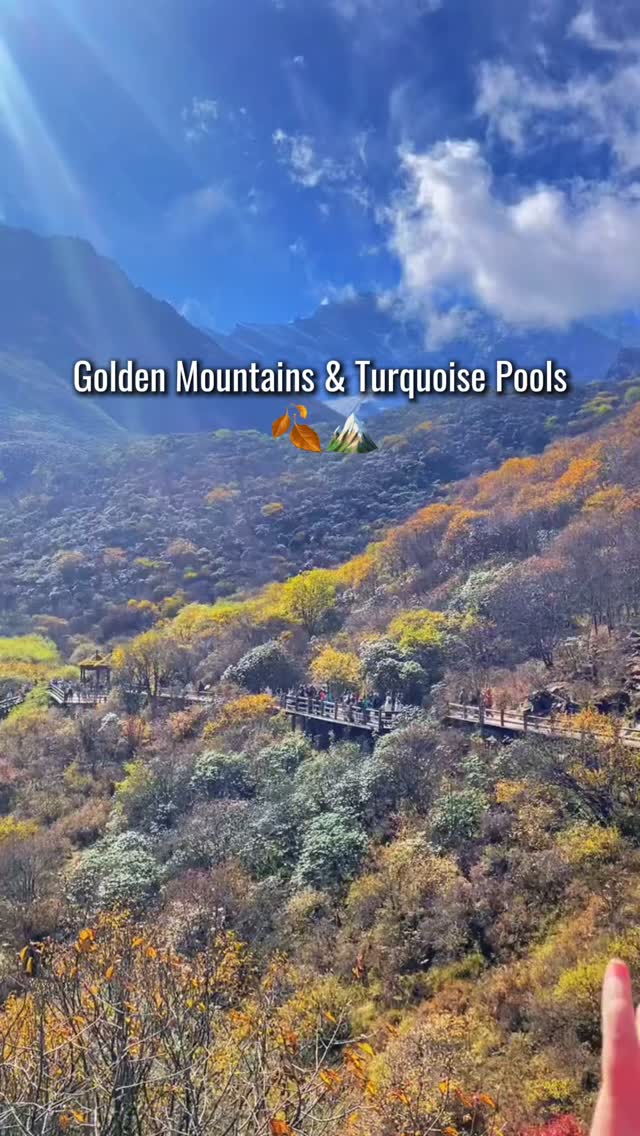 Huanglong's Golden Autumn Pools and Snowy Peaks