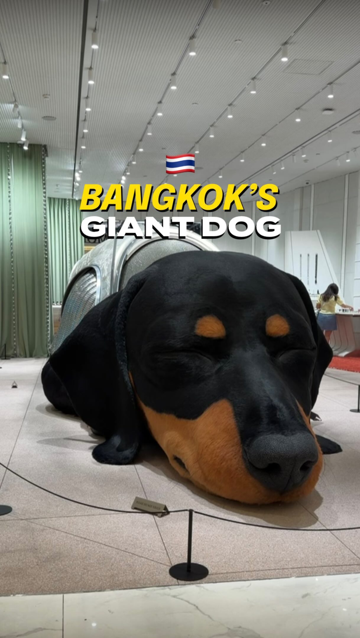 Iconic Bangkok Shopping Mall Features Giant Dog