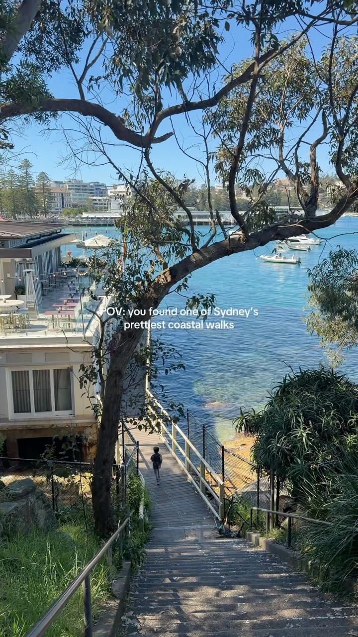 Manly Fairlight Sydney Coastal Walk