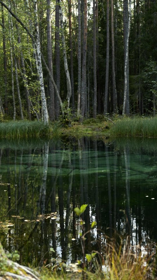 Ingbo Källor: Natural Spring With Clear, Cool Water