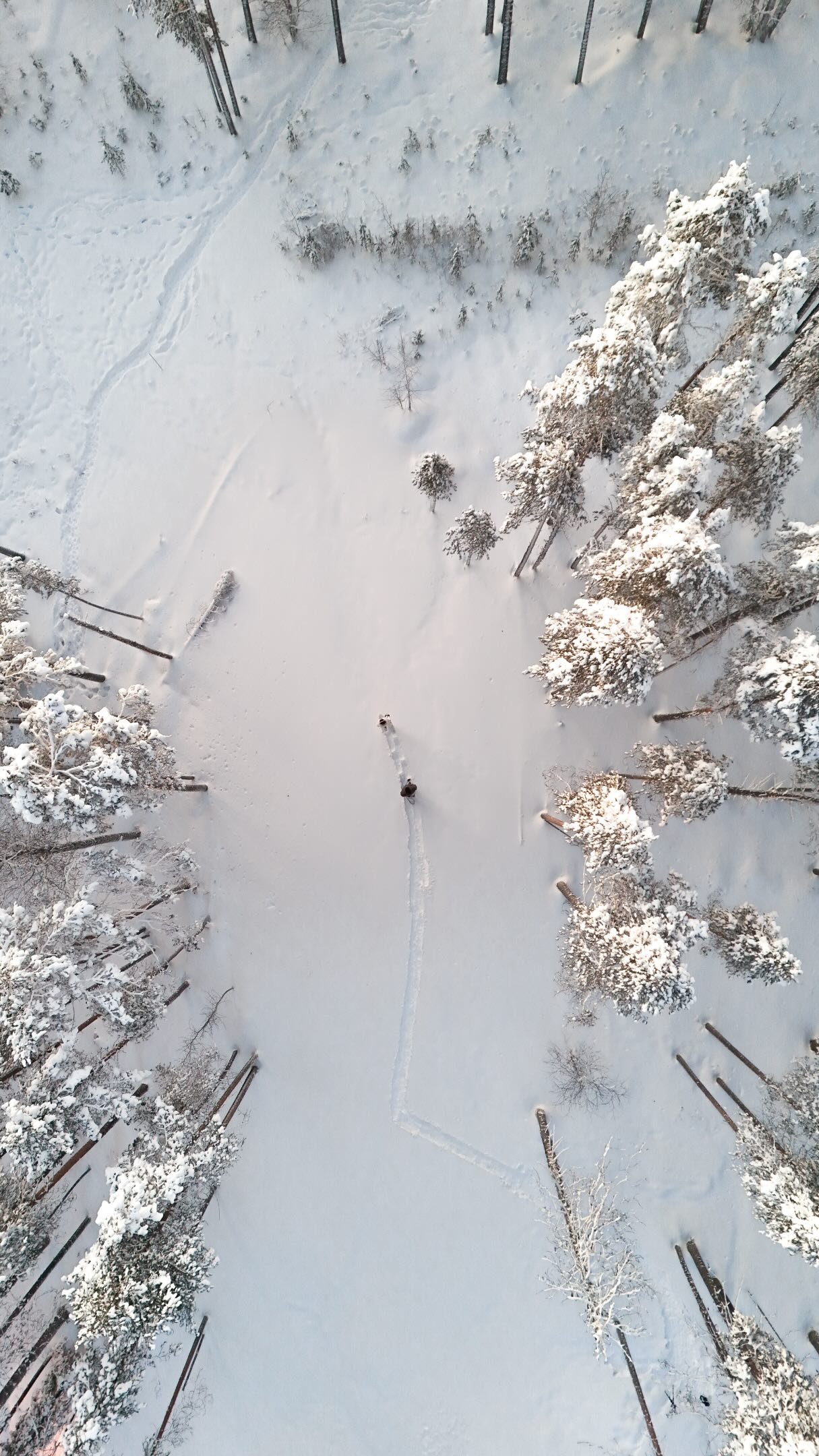 Experience the Magic of Lapland