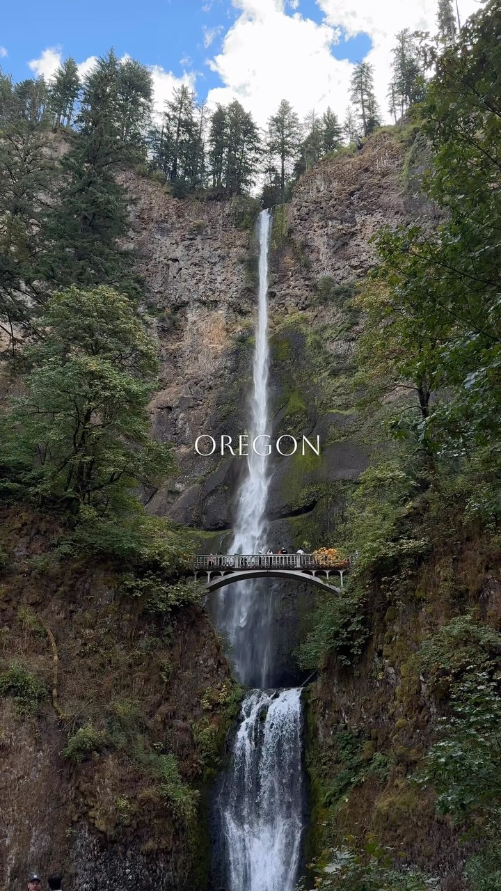Oregon Waterfalls And Coast Range