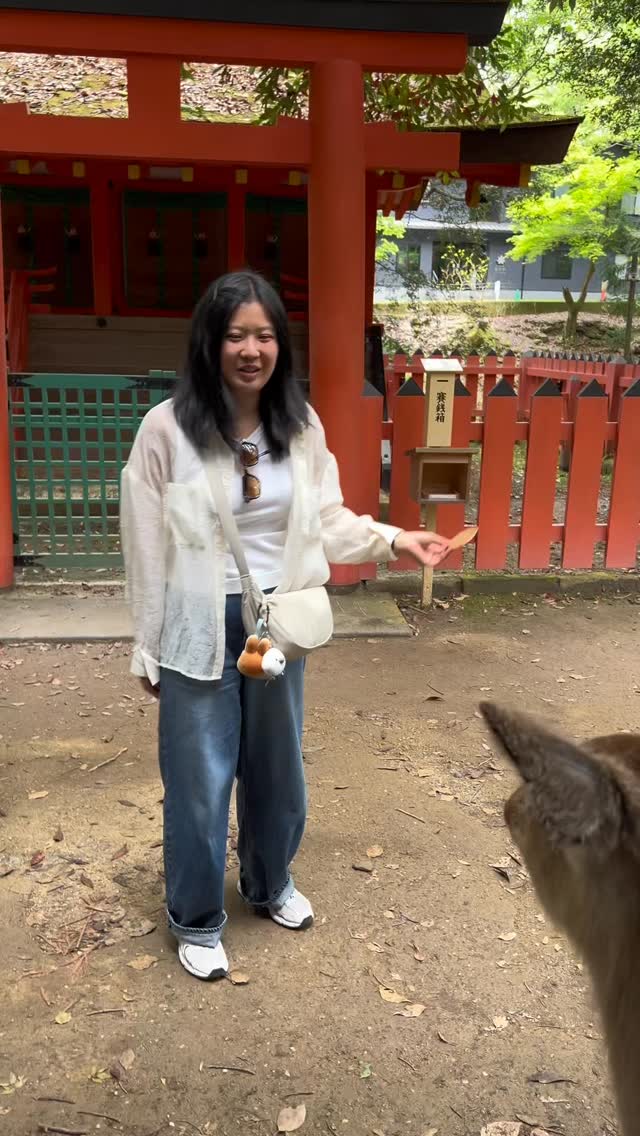 Nara Park's Top Attractions For A Day Trip