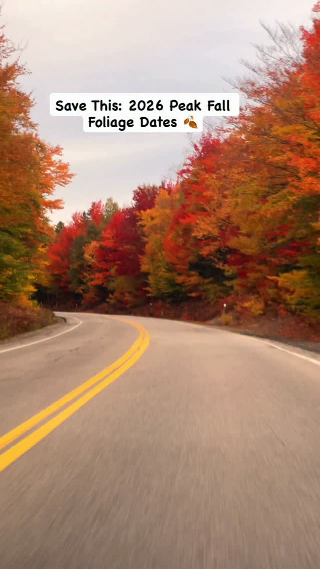 Northeast Fall Foliage Road Trip Planner