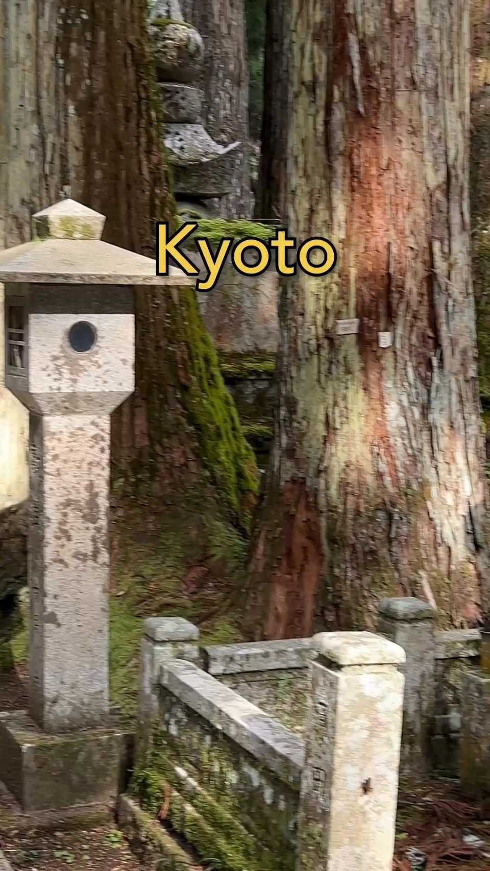 Kyoto/Osaka Day Trips: Temples, Nature, and Culture