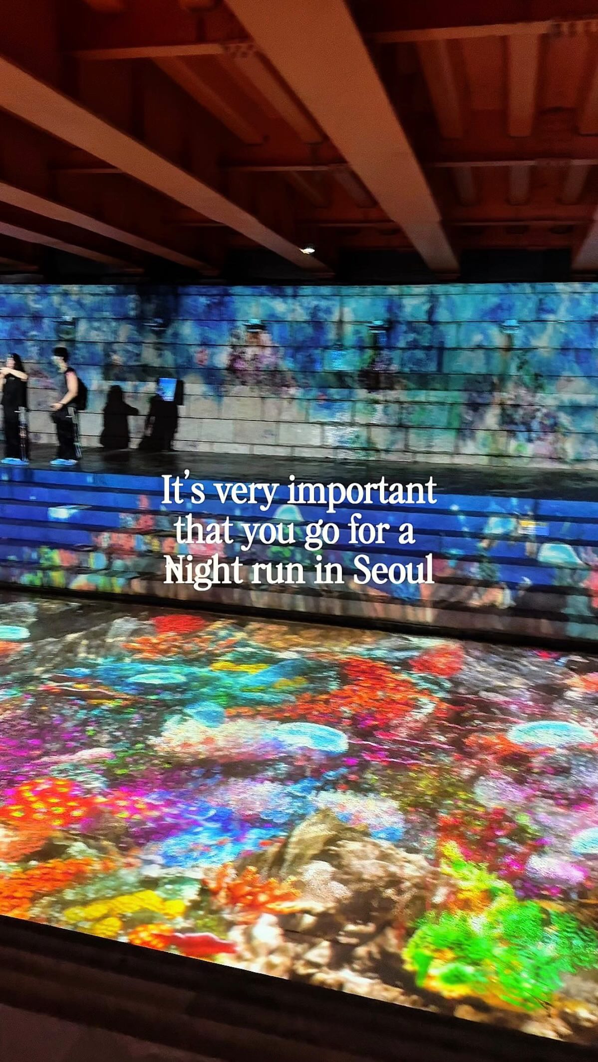 Seoul Night Run Featuring Cheonggyecheon Stream Lights