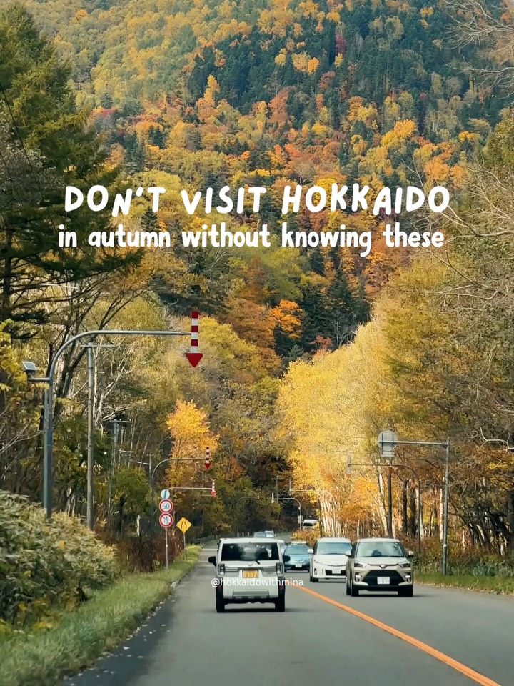 Hokkaido's Early Autumn Colors in Mountains
