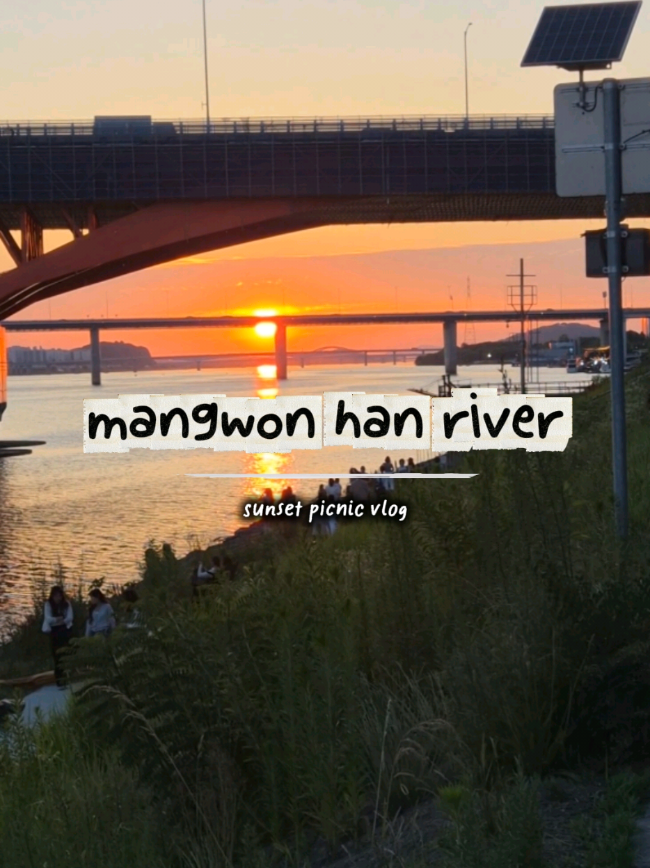 Mangwon Market To Han River Sunset Picnic