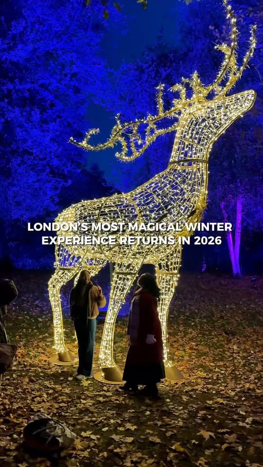 Chelsea Winter Village and Illuminated Trail
