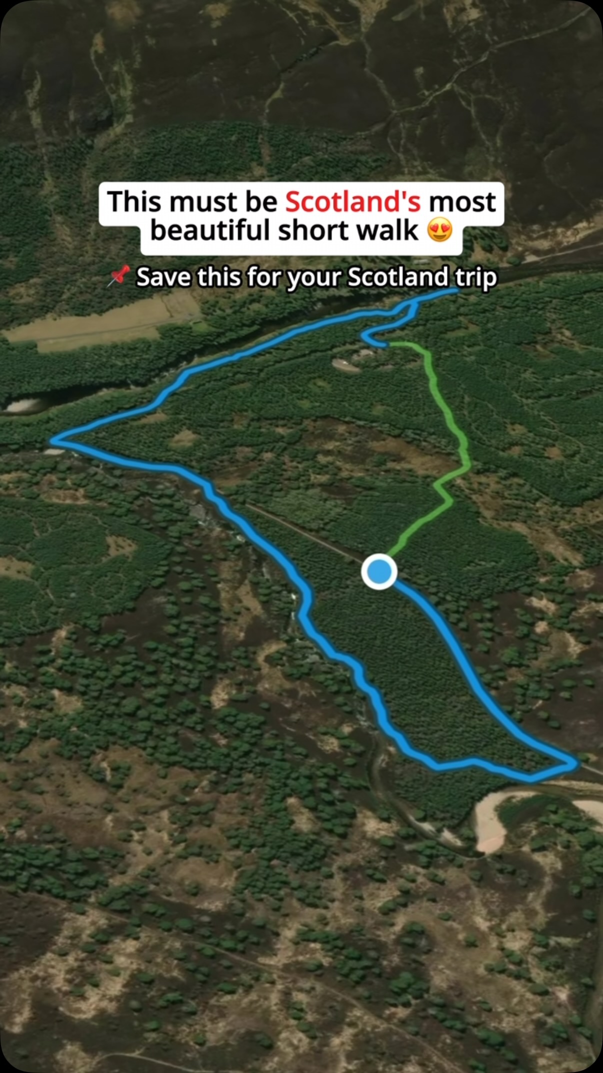 Woodland Walk Along River Dee In Cairngorms