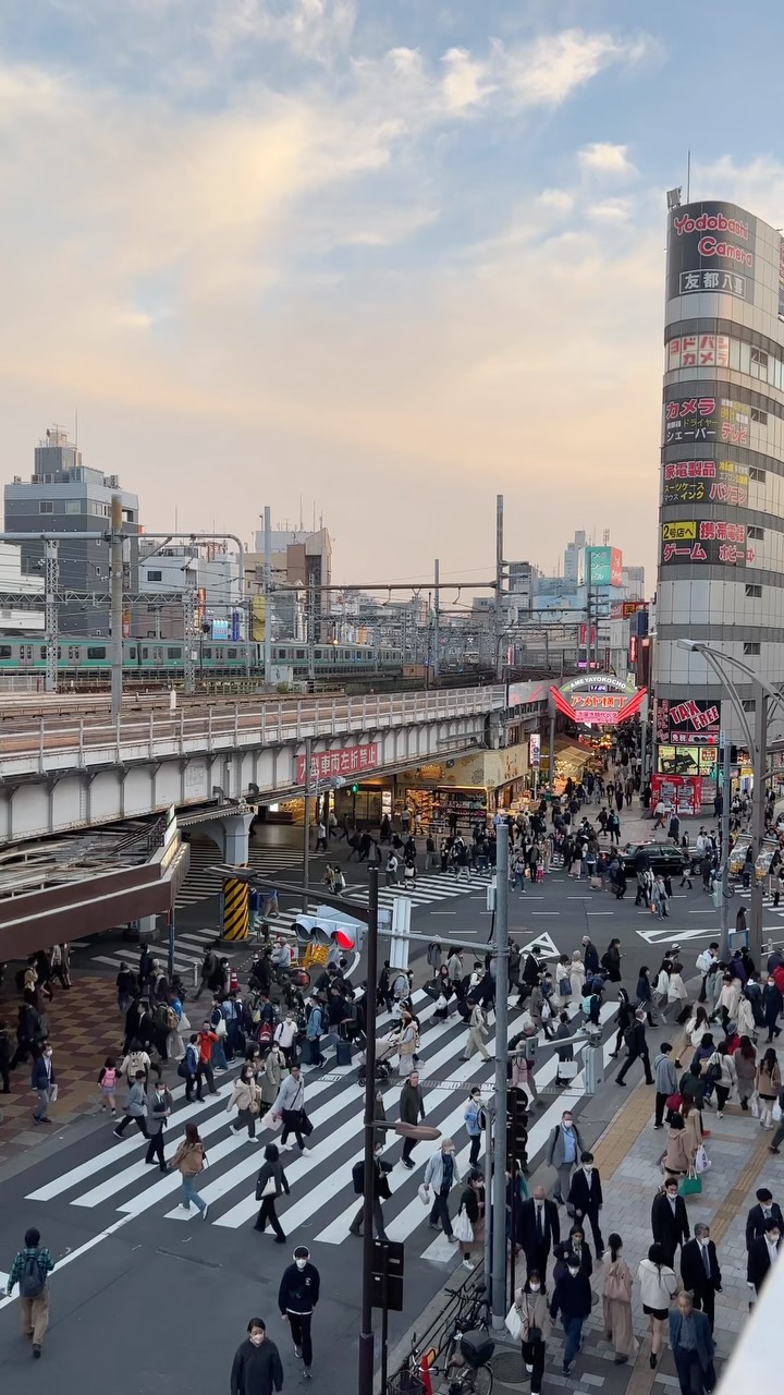 Ueno: Tokyo's Vibrant Hub for Shopping and Dining