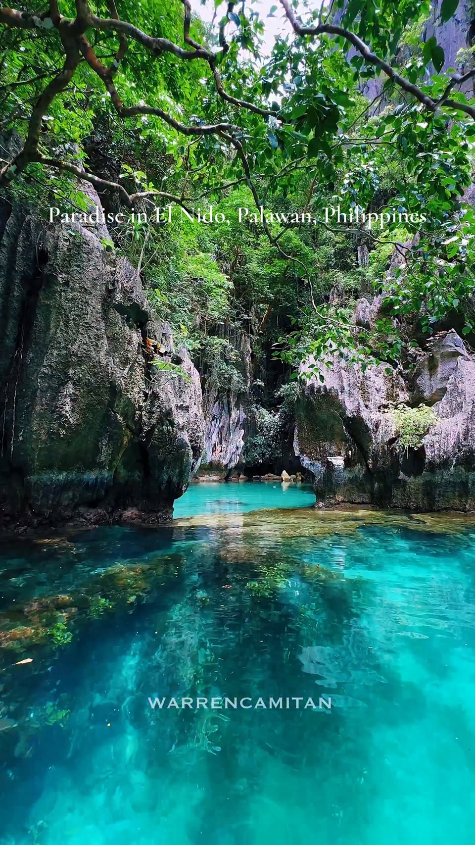 El Nido's Pristine Island Beauty