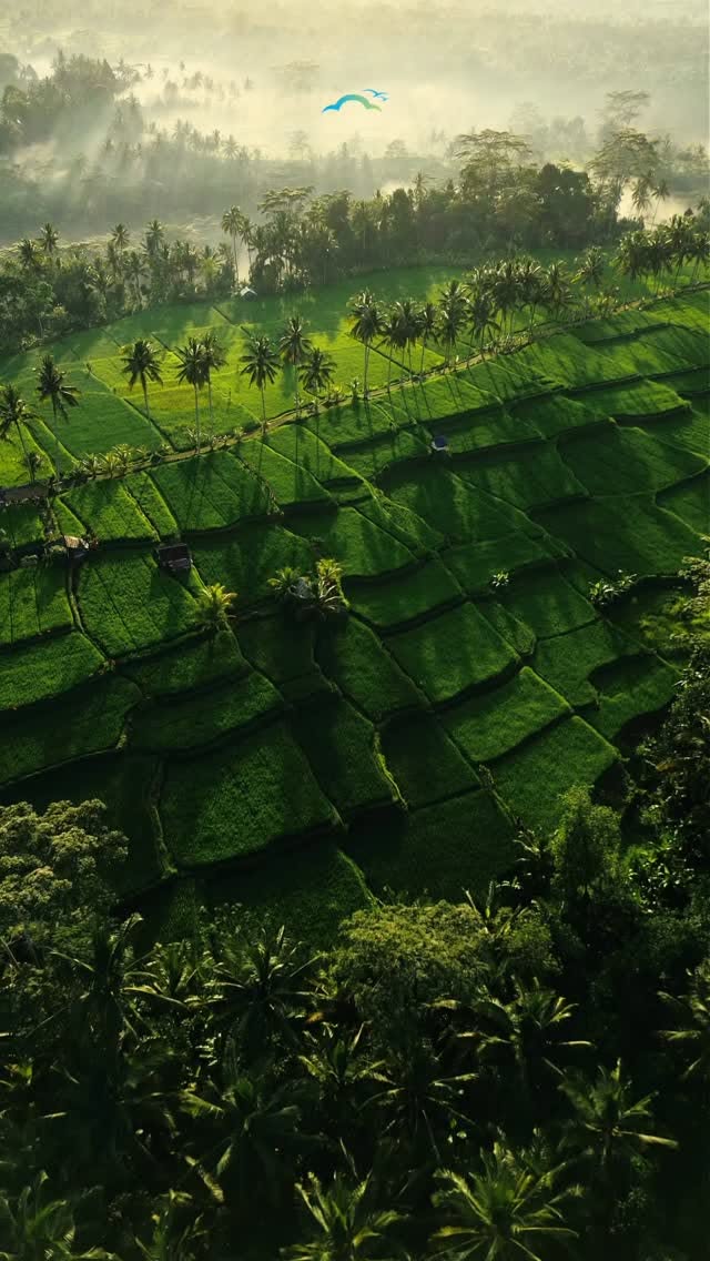 Bali's Temples, Swings, Waterfalls, and Dive Spots