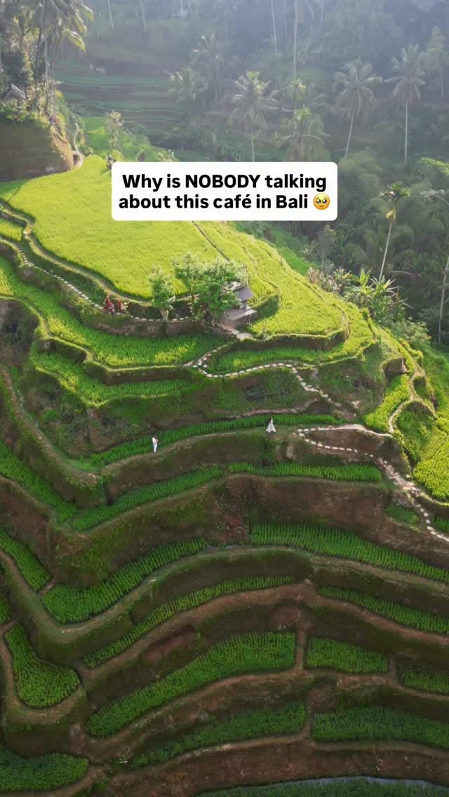 Bali's Scenic Rice Terraces And Trendy Cafes